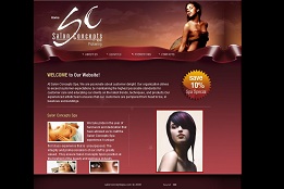 Salon Concepts Website Design